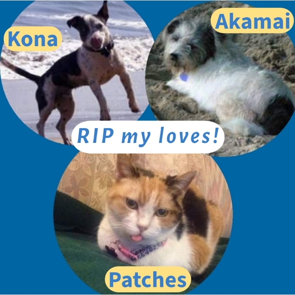 A Bit About Me 😁 - Picture 8 of 16